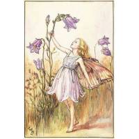 Carte "Fées des Fleurs" Cicely Mary Barker "Campanule violette"