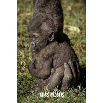 Carte "Gros Bisous" Bébé Gorille dans la main de Maman