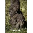 Carte "Gros Bisous" Bébé Gorille dans la main de Maman