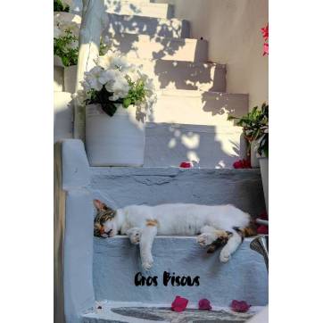 Carte "Gros Bisous" Chat endormi sur Escaliers fleuris