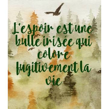 Citation Espoir “L’espoir est une bulle irisée qui colore fugitivement la vie.”