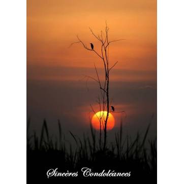 Carte Condoléances Oiseaux sur arbre au coucher de soleil