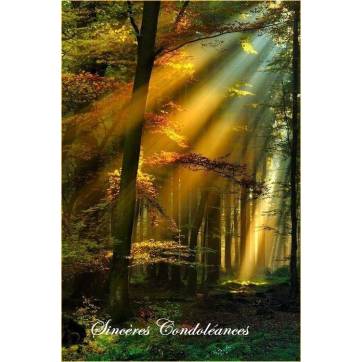 Carte Condoléances Lumière à travers la Forêt