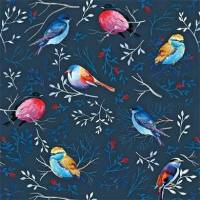 Carte Anniversaire Fleurs Oiseaux multicolores sur fond bleu marine