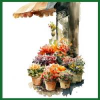Carte aquarelle Marché aux Fleurs 3 sans texte
