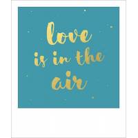 Carte citation format polaroïd "Love is in the air"