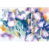 Carte Jean Caude Papeix Aquarelle Iris violets